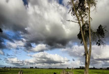 记者:迪巴拉左大腿半腱肌肌腱受损,将缺席阿根廷队比赛.