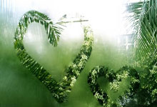 壹号娱乐官网:中超前瞻:海港客战西海岸冲三连胜 塞鸟将迎国安首秀.