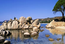 记者:迪巴拉左大腿半腱肌肌腱受损,将缺席阿根廷队比赛.